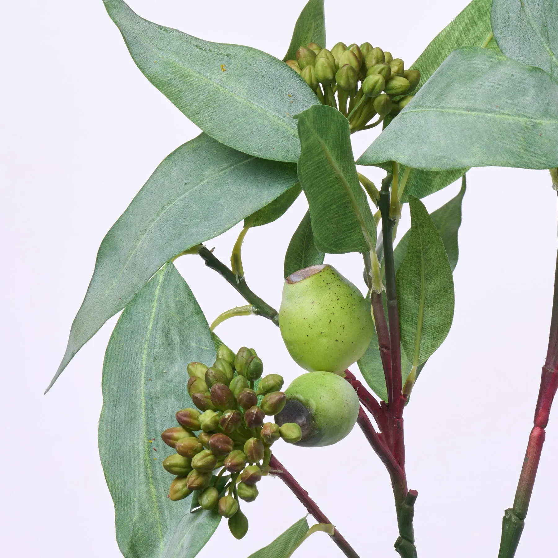 Eucalyptus Seed & Pod Cluster Everyday Faux Greenery Branch Spray- 32"